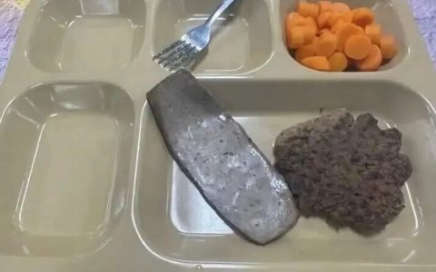 美军航母吃“猪食”