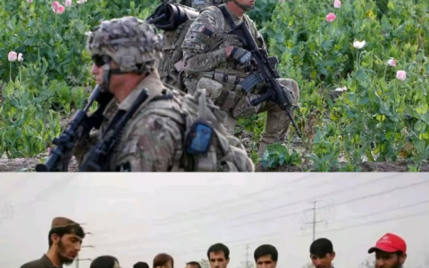 美军真的是一只纸老虎