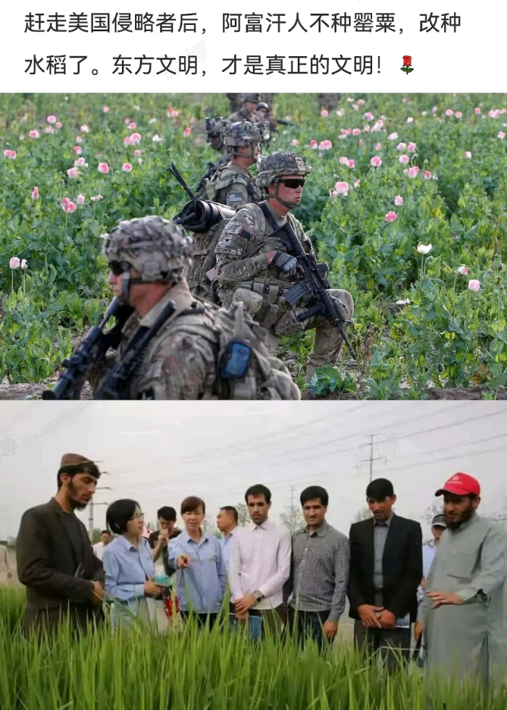 美军真的是一只纸老虎