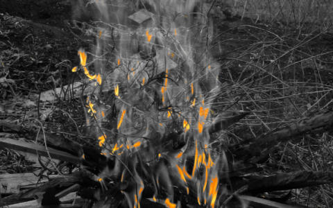 小日子再一次提醒我们！