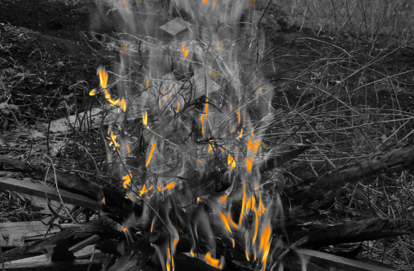 小日子再一次提醒我们!