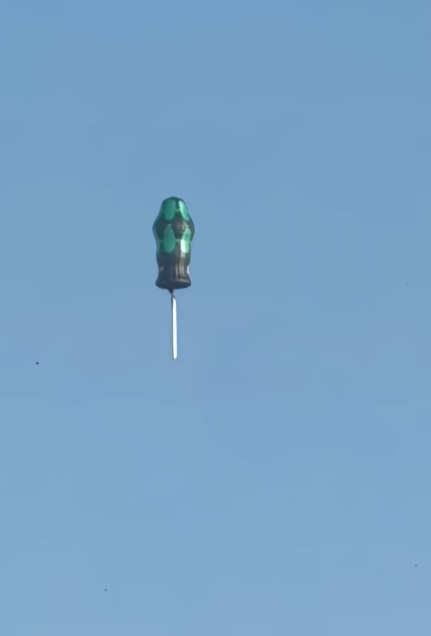 来了天家，有人好高兴