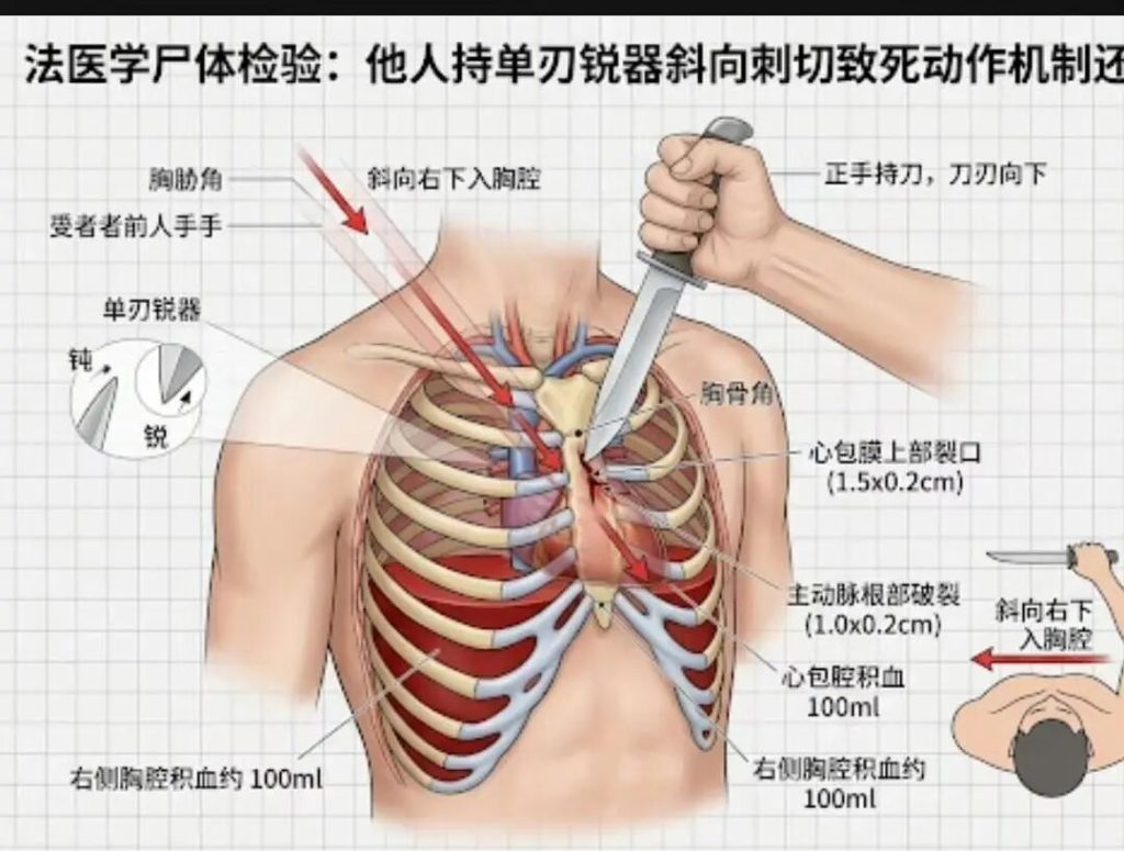 每次扫黄都有她