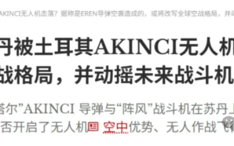 阵风实战再被击落，无人机干得好