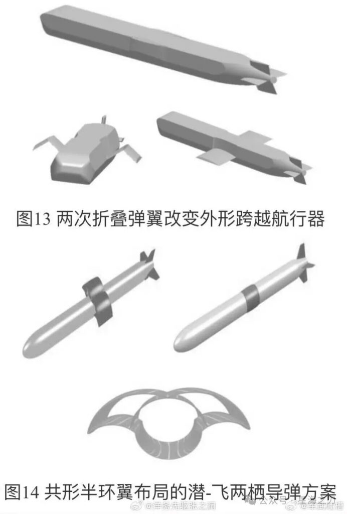 鱼雷和导弹可以合二为一？空水跨介质巡航导弹是什么东东？