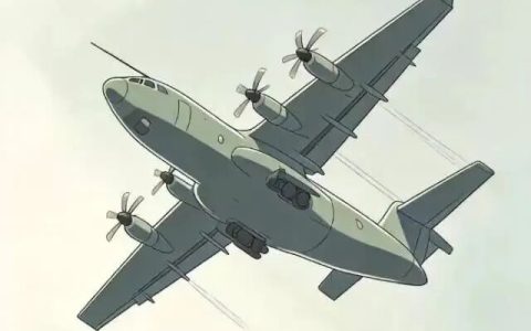 疑似某新中运运输机在试飞