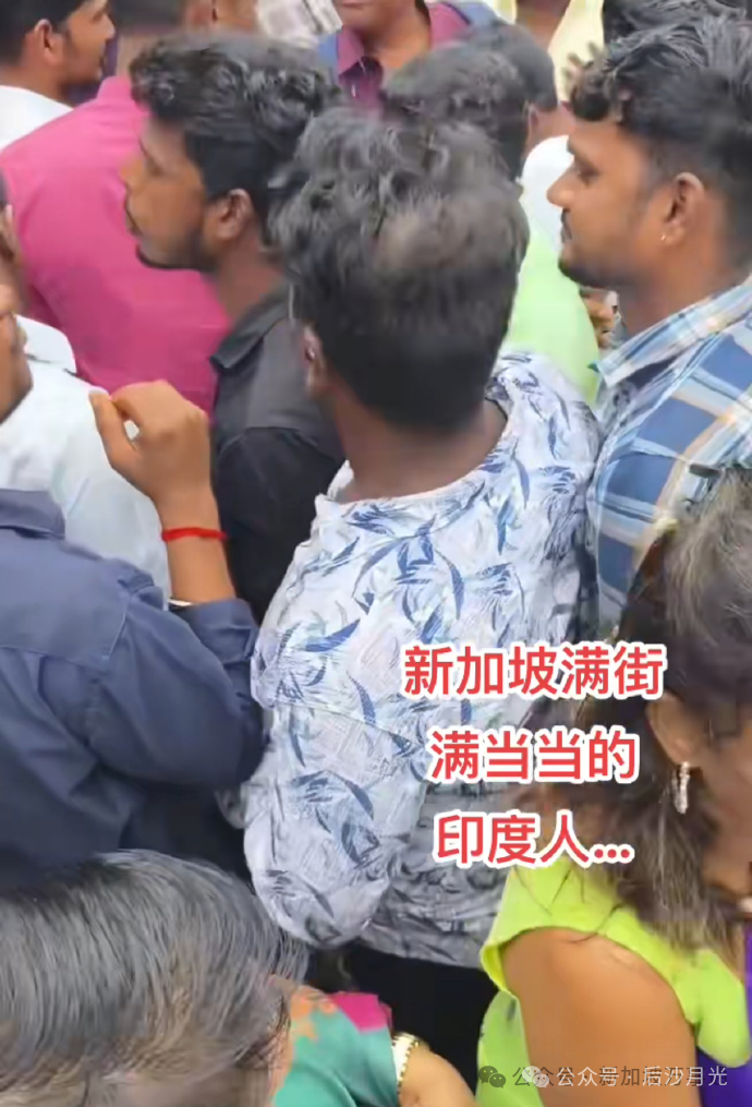 新加坡街头印度人多的吓人!为什么会这样?