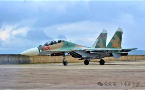 印度Su-30MKI国产化之路：光环下的现实困境