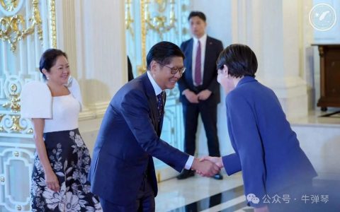 这个邻国，请继续你疯狂的表演